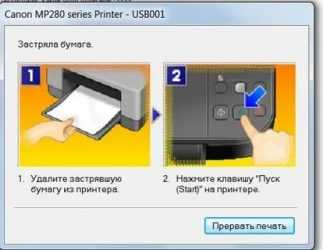 Принтер не захватывает бумагу. причины и решение проблемы