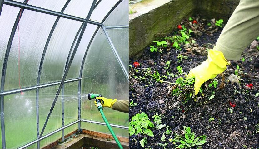 Обработка теплицы после сбора урожая: дезинфекция почвы и другие мероприятия - огород, сад, балкон - медиаплатформа миртесен