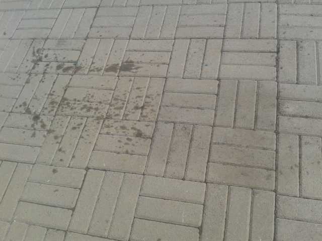 Высолы на тротуарной плитке – почему они появляются и как их убрать. | мастер - фломастер | яндекс дзен