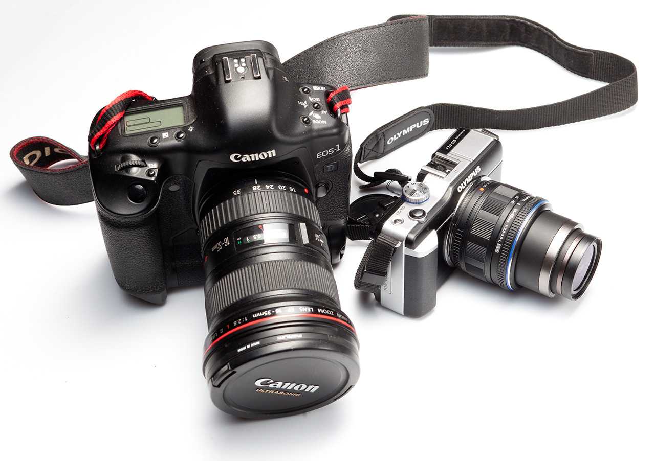 Беззеркальные фотоаппараты: какие бывают, устройство, технологии и выбор беззеркальной камеры