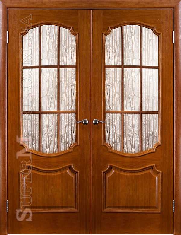 Входные двустворчатые двери. описание характеристик и достоинств | все про двери