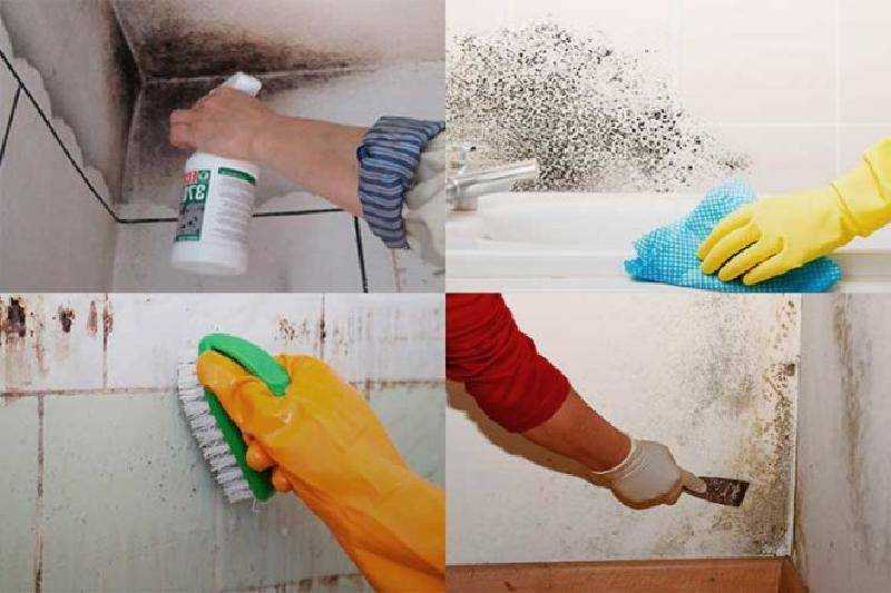 Как удалить краску со стен в ванной