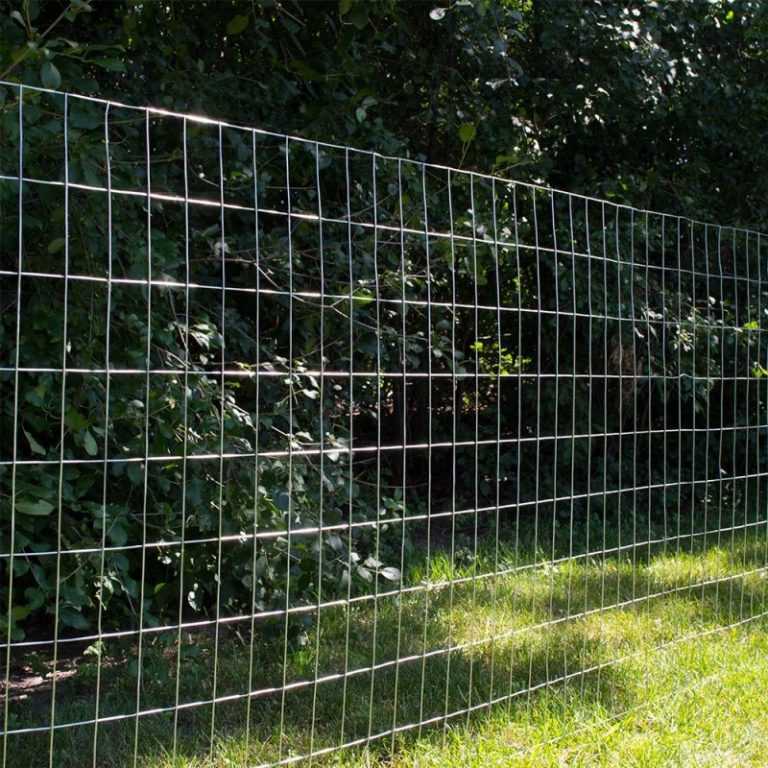 8 способов, чем закрыть забор из сетки рабицы | дом мечты