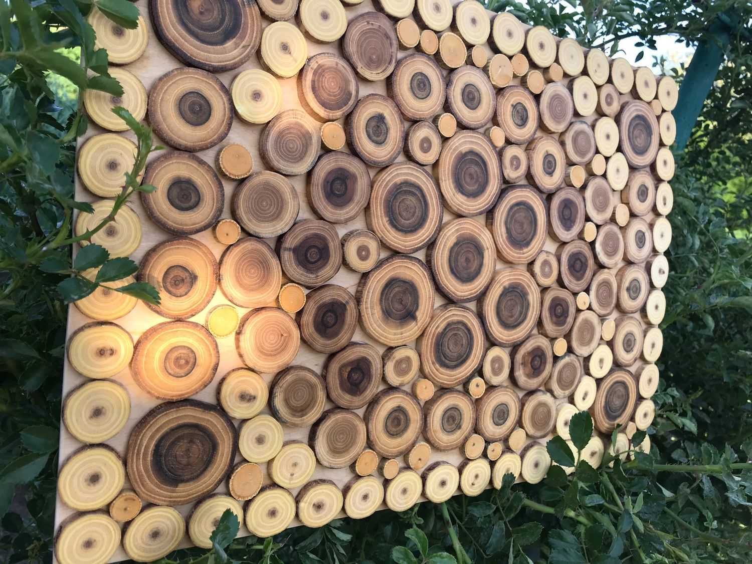 Интересные поделки из спилов дерева для изготовления своими руками в 2019 году