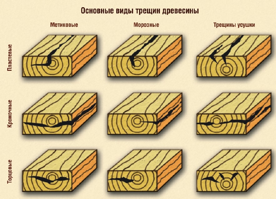 Виды древесины, применяемые в строительстве домов 