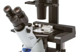 Сравнение Olympus CKX53 с аналогичными моделями для биологических исследований