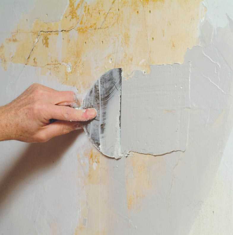 Как идеально зашпаклевать стены под покраску и как подготовить основание