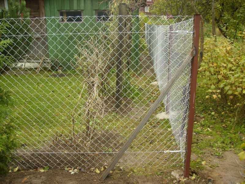 6 идей, как украсить забор из сетки-рабицы | дела огородные (огород.ru)