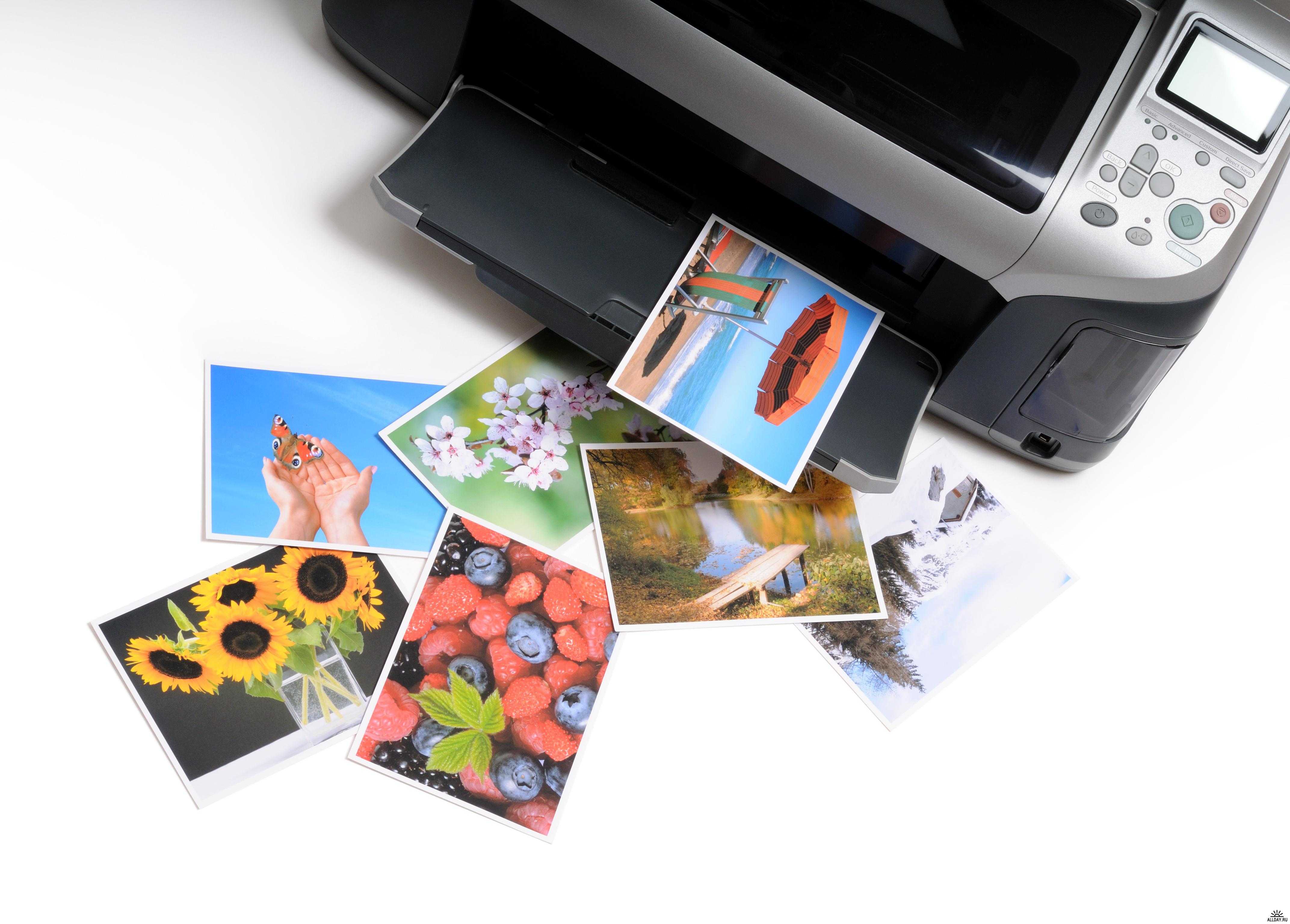 Как выбрать принтер: виды, матричный, струйный, лазерный и черно белый
