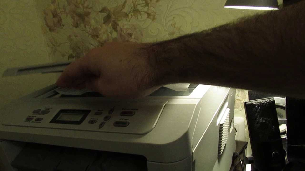 как отсканировать документ или фото, сделать ксерокопию на принтере: пошаговая инструкция