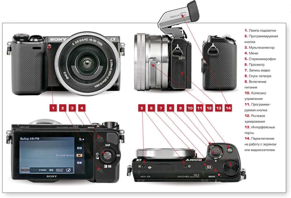 Как выбрать фотоаппарат: технические особенности зеркальных и беззеркальных моделей