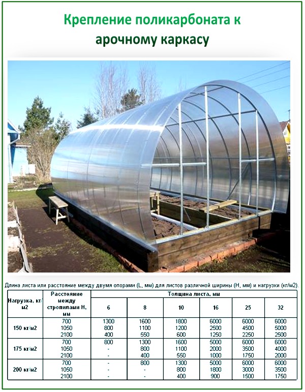 Тонкости выбора размера листа поликарбоната для теплиц
