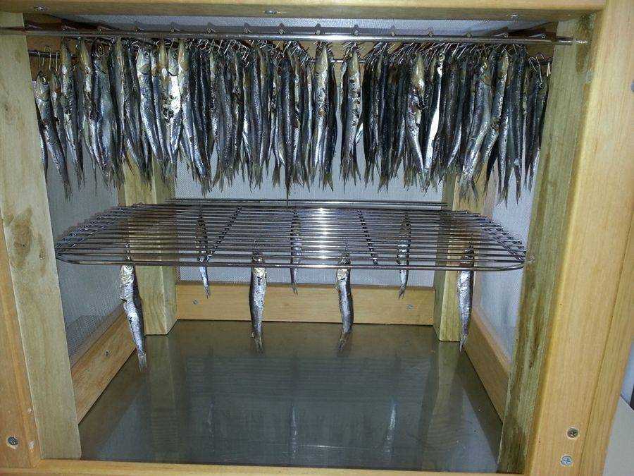 Как сделать сушилку для рыбы. Шкаф для вяления рыбы. Шкаф для сушки рыбы. Сушилка для вяления рыбы. Приспособление для сушки рыбы.