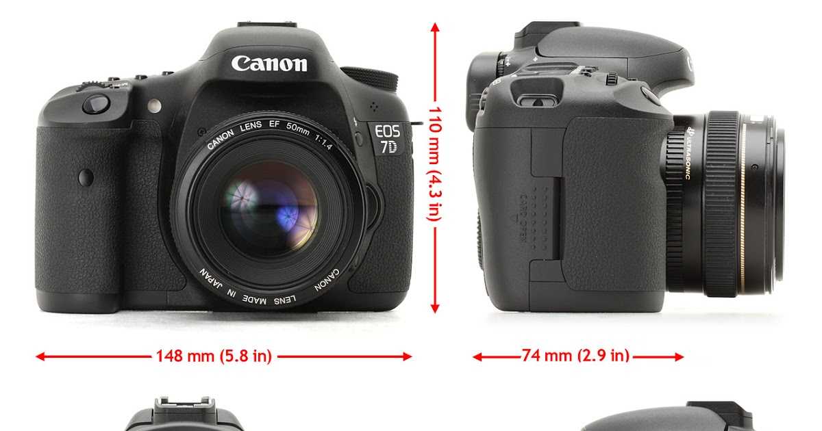 Беззеркальные фотоаппараты nikon: характеристики и особенности