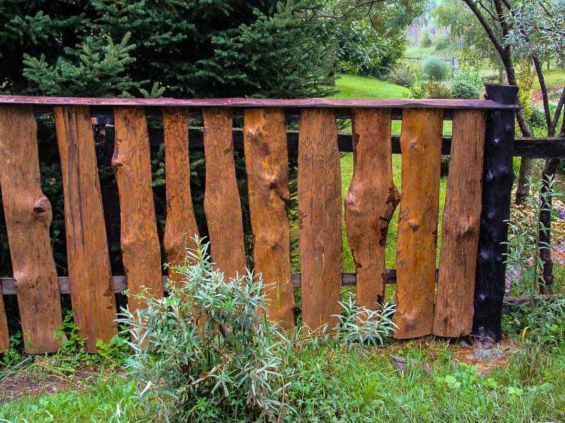 Забор из горбыля (59 фото): все варианты использования необрезной доски, красивый деревянный забор