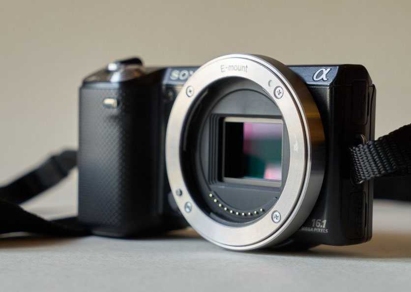 Чем зеркальные фотоаппараты отличаются от беззеркальных?