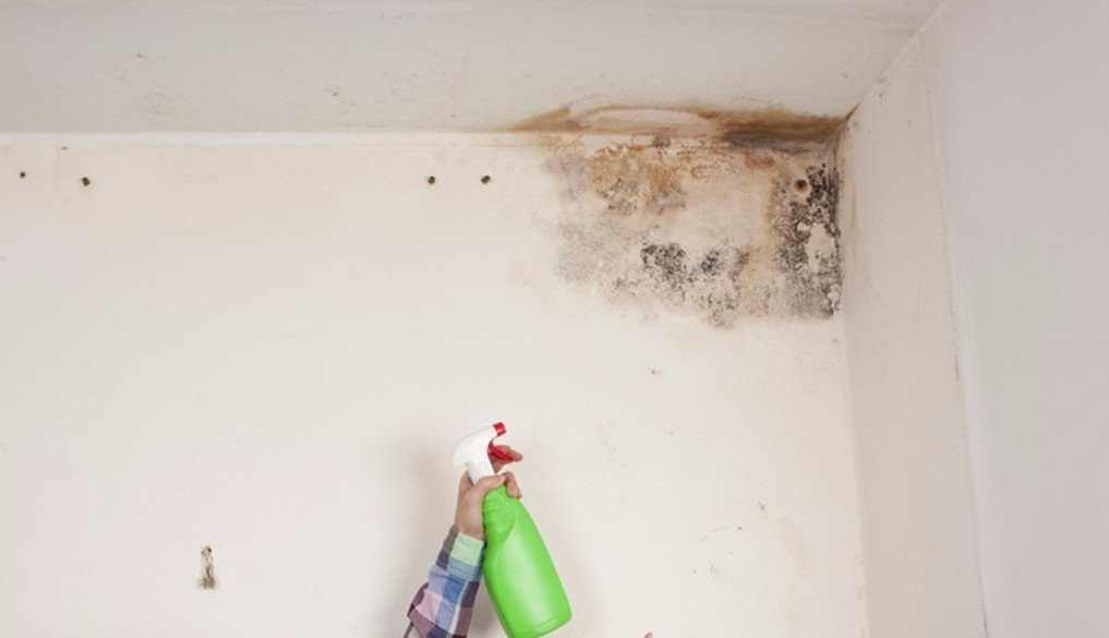 Как убрать побелку с потолка и стен? способы удаления, рекомендации специалистов