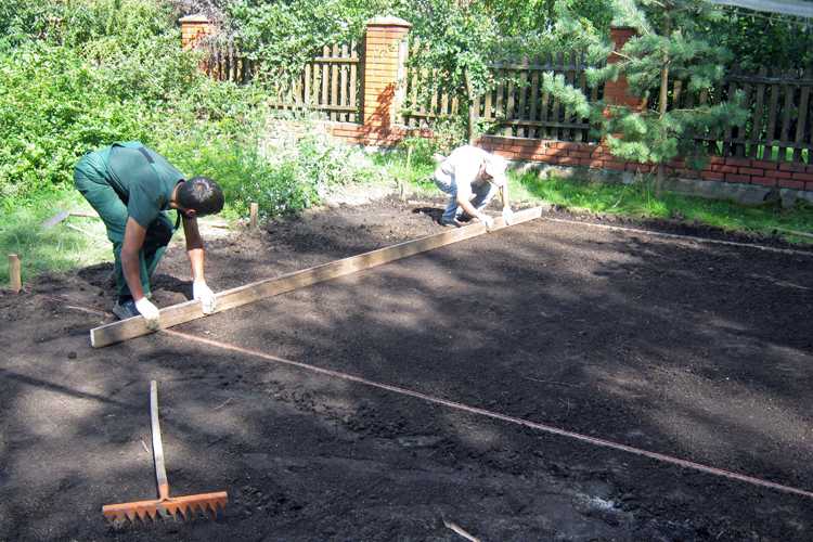 Как подготовить землю под газон, а так же выбрать грунт перед посевом
