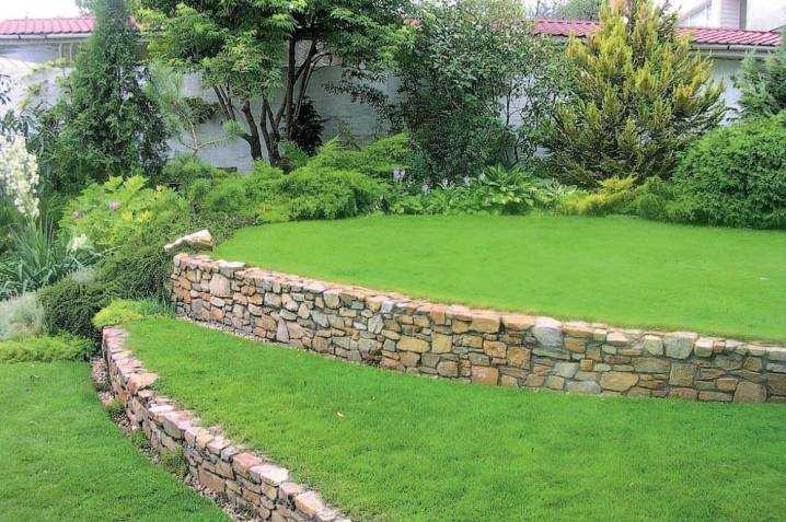 Газон в саду и огороде. Как сделать газон на даче своими руками: пошаговая инструкция