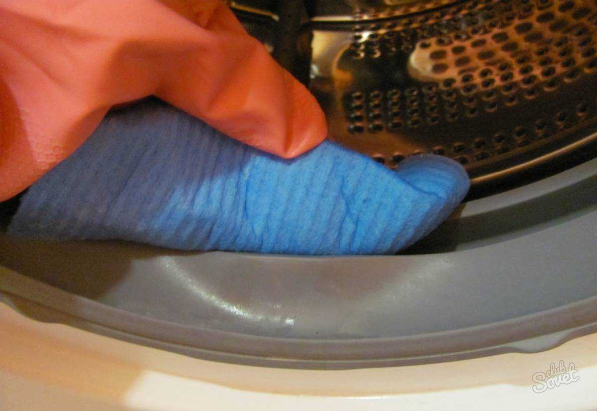 В каких местах стиральной машины скапливается плесень и как убрать ее с резины и с других частей агрегата?