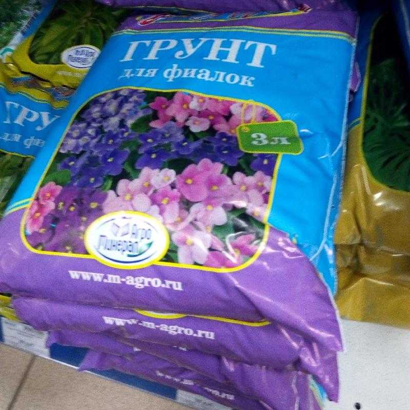 Древесный уголь для сенполий. от цветочных горшков до стеллажей – что может потребоваться при выращивании фиалок?