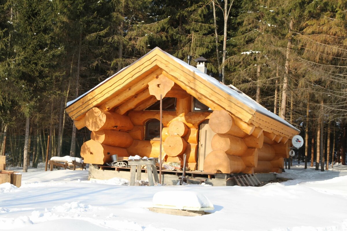 Бани из кедра (41 фото): плюсы и минусы сруба для дома-бани из канадской, алтайской и сибирской древесины. кедровая вагонка и доска для отделки
