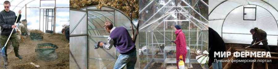 Обработка теплицы из поликарбоната весной перед посадкой растений: правильный порядок профилактических работ