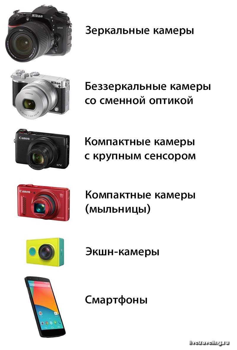 Какую цифровую камеру выбрать
