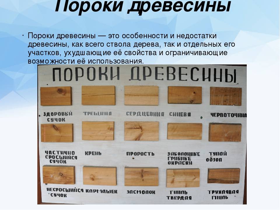 14 пород древесной породы, которые употребляют в строительстве (с описанием параметров и сопоставлением)