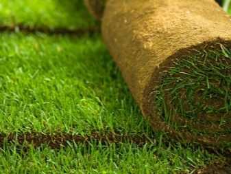 Как выбрать искусственный газон: советы профессионалов