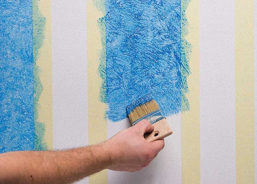 Как покрасить стены в квартире своими руками: правила для начинающих