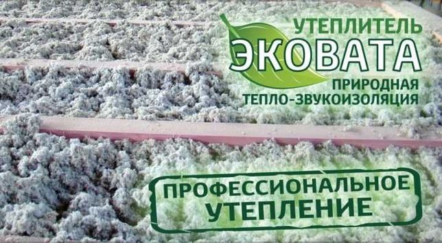 Эковата: отзывы, характеристики, преимущества и недостатки, сфера применения