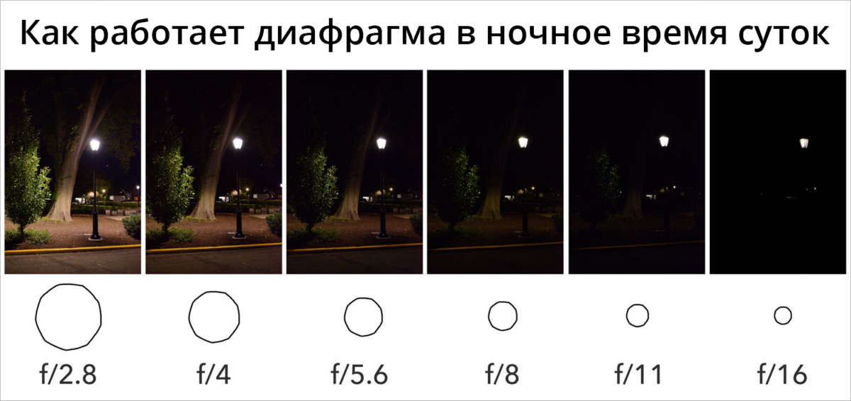Основы фотографии: диафрагма, выдержка и светочувствительность - треугольник экспозиции