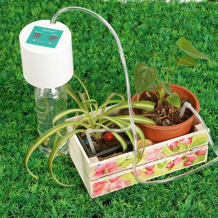 Автоматический полив комнатных растений – обеспечиваем цветы водой в домашних условиях + видео