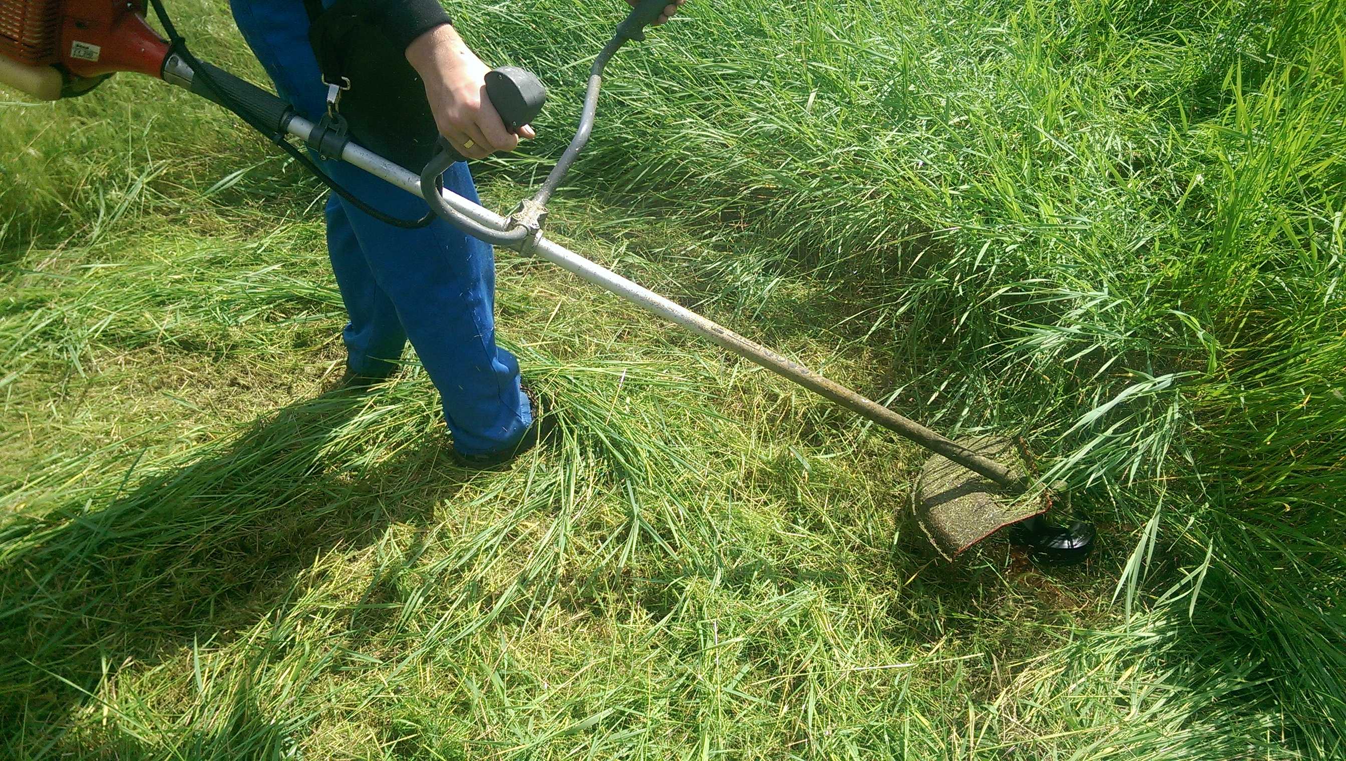 Как правильно косить траву триммером с диском - jusof.com