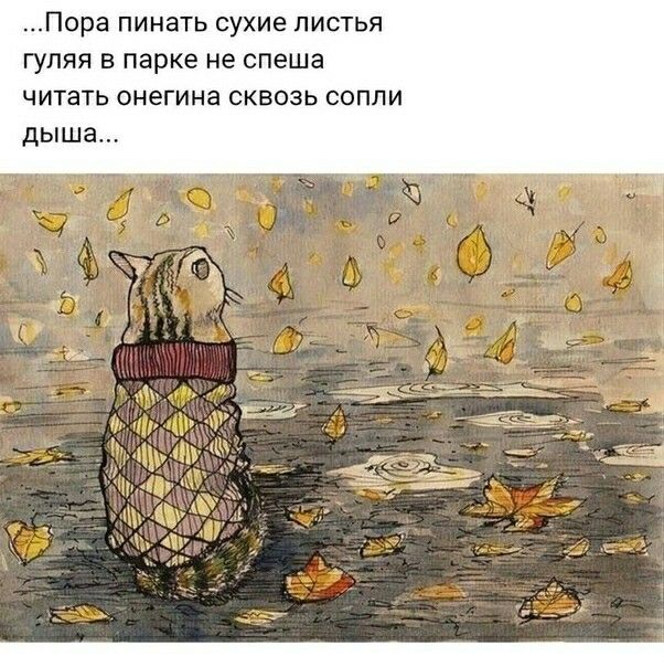 Осенняя хандра: как бороться с осенней хандрой и победить