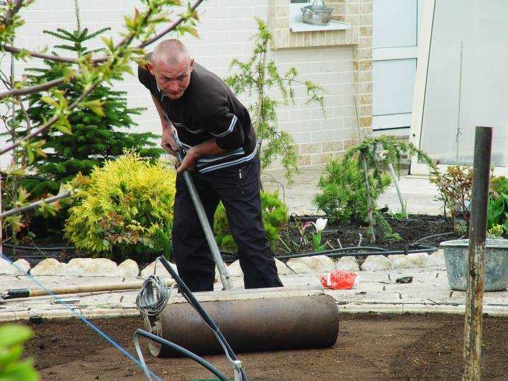 Газон в саду и огороде. Как сделать газон на даче своими руками: пошаговая инструкция