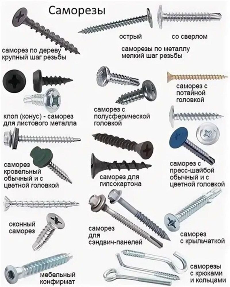Разновидность саморезов. какими саморезами крепить разные материалы?