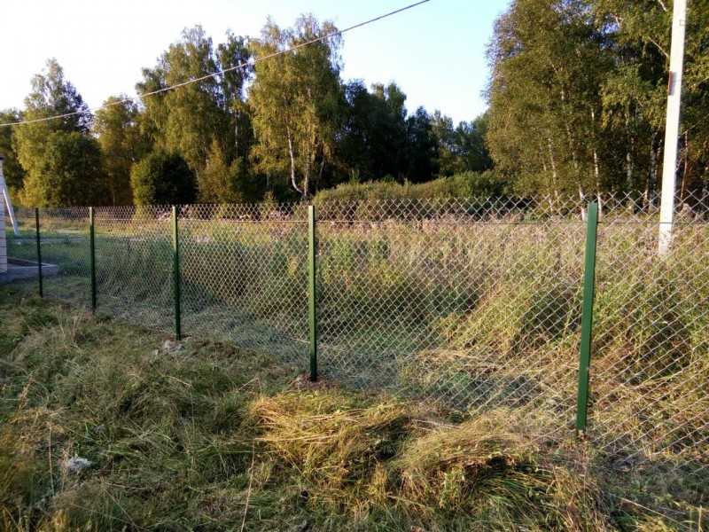 11 растений, которые замаскируют неприглядный забор и заметно преобразят участок | дизайн участка (огород.ru)