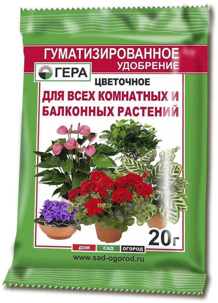 Правила подкормок для комнатных растений. как удобрять комнатные растения? фото — ботаничка.ru