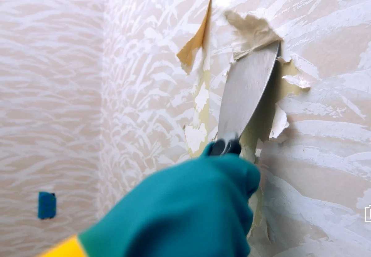 Шпаклевка стен под покраску: технология работы
шпаклевка стен под покраску: технология работы