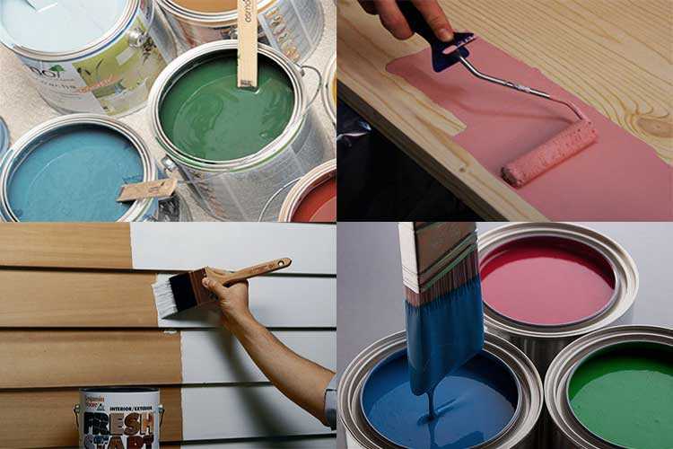 Как выбрать краску для стен для разных комнат